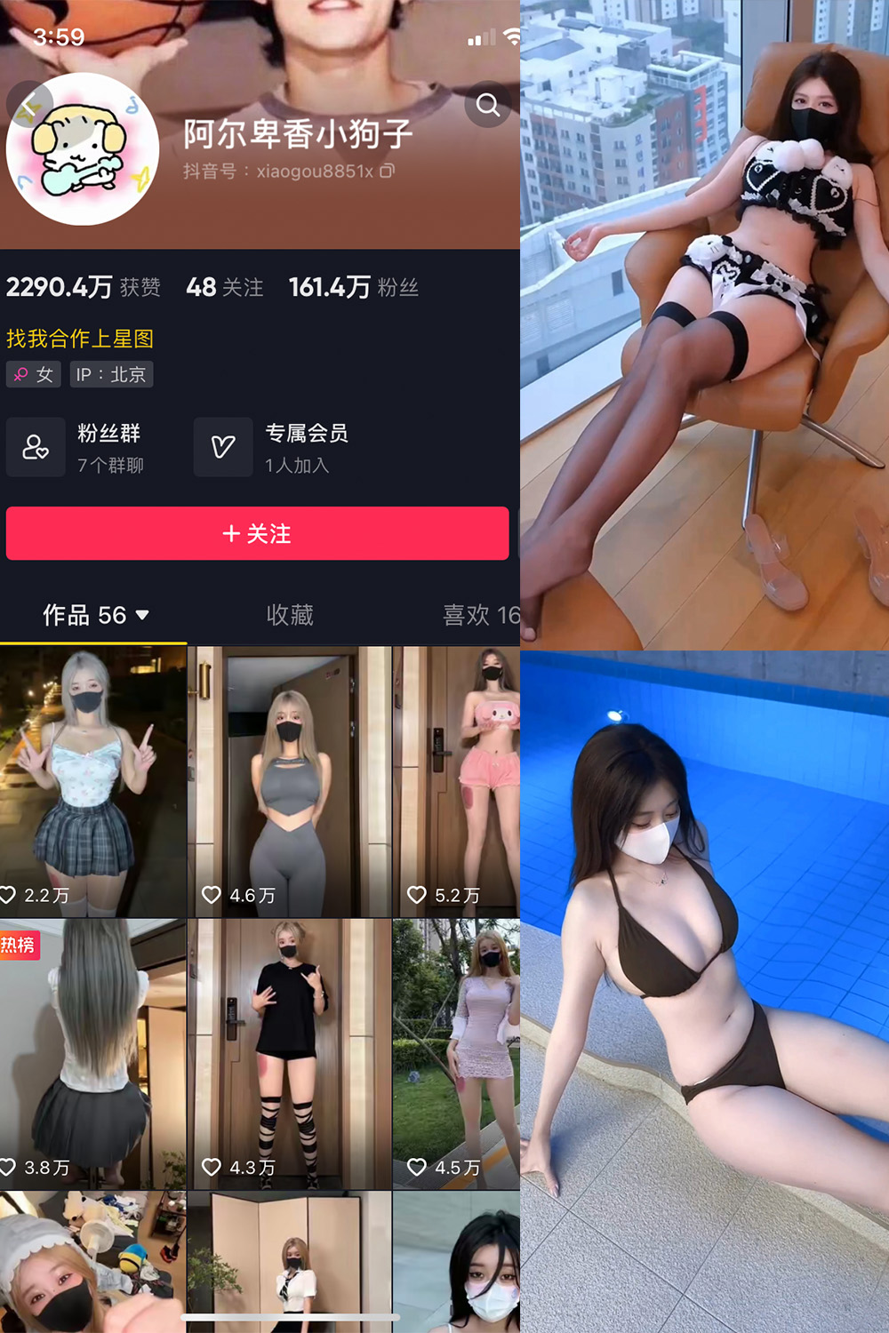 抖音 阿尔卑香小狗子 微密圈  NO.062期 【8V】最新至：2025.5.22